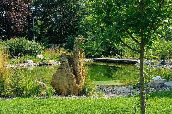 Sommerfoto Schwimmteich