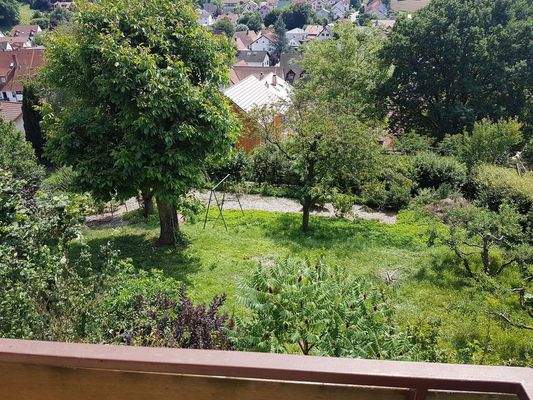 Herrlicher großer Garten