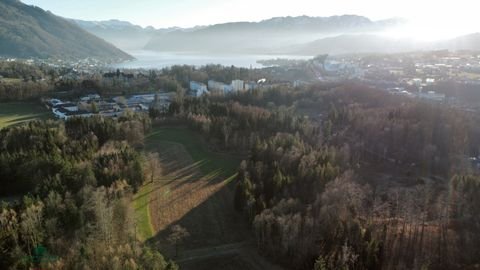 Gmunden Bauernhöfe, Landwirtschaft, Gmunden Forstwirtschaft