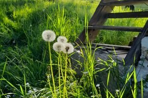 87fe87e9-8b3c-4872-ac71-cb737a737820.jpeg