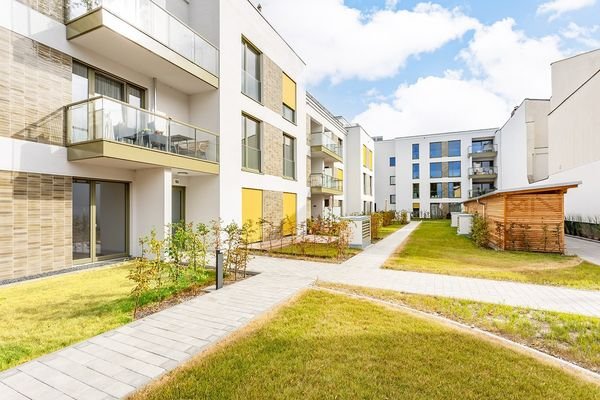 Terrasse und Garten