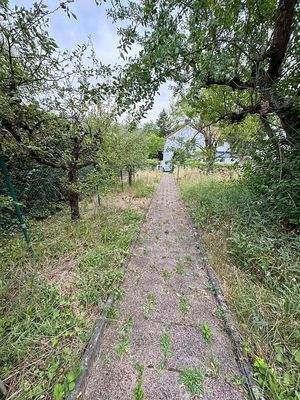 das Grundstück .jpg