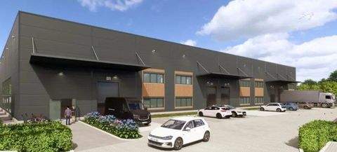 Hamburg Halle, Hamburg Hallenfläche