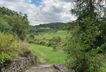 IMG_2297.jpeg