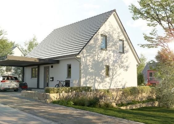 Einfamilienhaus-Flair-125-Eingang-Hang