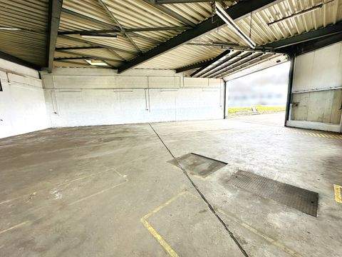 Coburg Halle, Coburg Hallenfläche