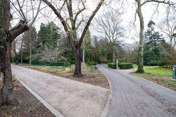 Bunter Garten gegenüber