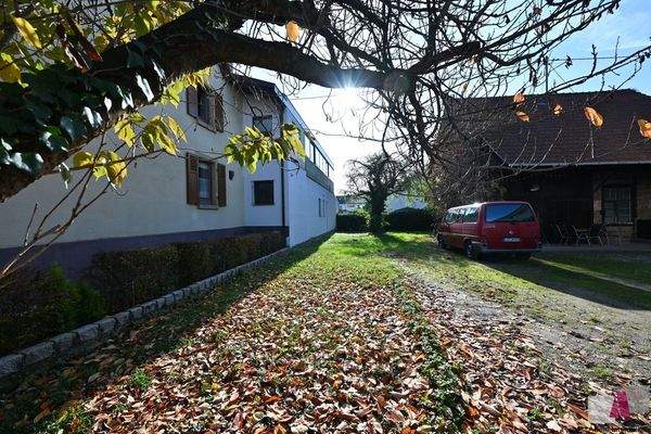 Blick von der Straße