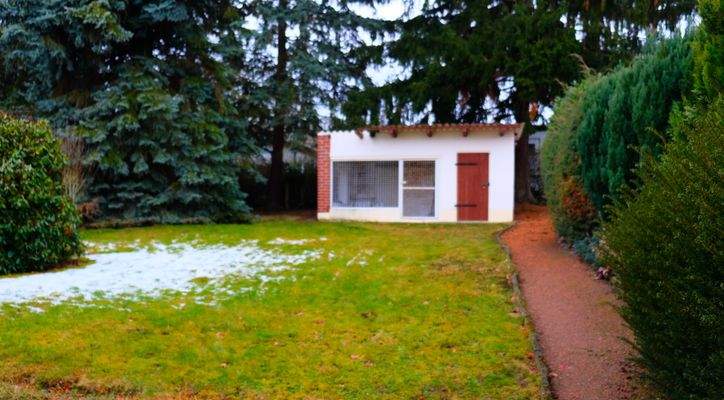 6 ehem. Hundezwinger.JPG