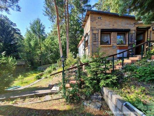 Wald hinter dem Grundstück