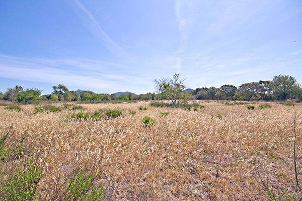Finca-Grundstück mit Strom u. Wasser in Cas Concos