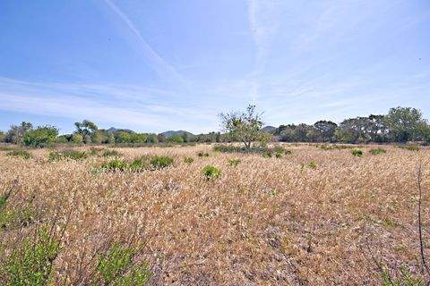 Cas Concos Grundstücke, Cas Concos Grundstück kaufen