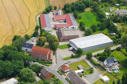 Osterwieck Halle, Osterwieck Hallenfläche