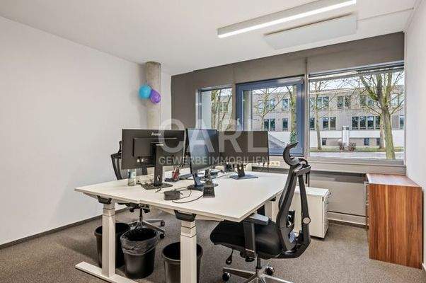 Weinstraße_20260221_13