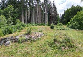 Natur pur – das weitläufige Grundstück öffnet sich direkt zum angrenzenden Wald.