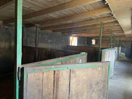 Pferdestall 4 Boxen.jpg