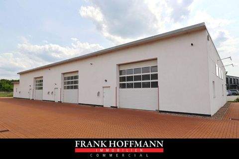 Kaltenkirchen Halle, Kaltenkirchen Hallenfläche