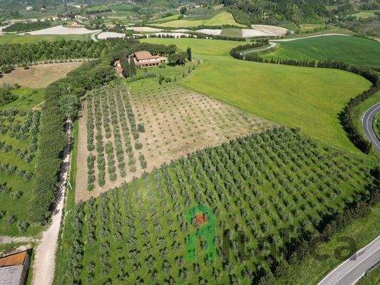 DJI_0337 (Kopie).JPG