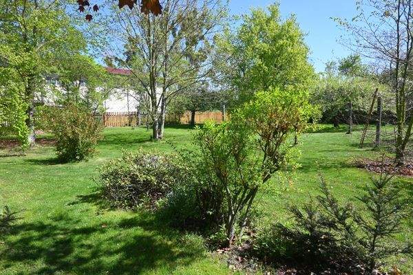 DSC_2302Garten mit Wäscheplatz.jpg