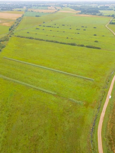 Oldersbek Bauernhöfe, Landwirtschaft, Oldersbek Forstwirtschaft