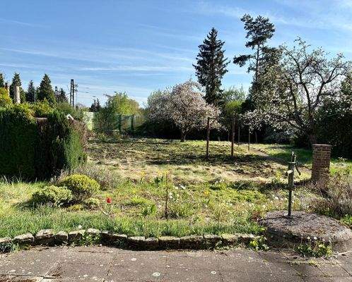 WhatsApp Bild 2025-04-19 um 17.15.31_b326ff6b.jpg