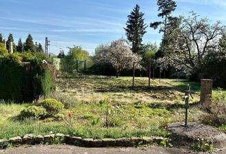 WhatsApp Bild 2025-04-19 um 17.15.31_b326ff6b.jpg