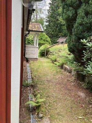 Eva (8)_8_11zon.jpeg