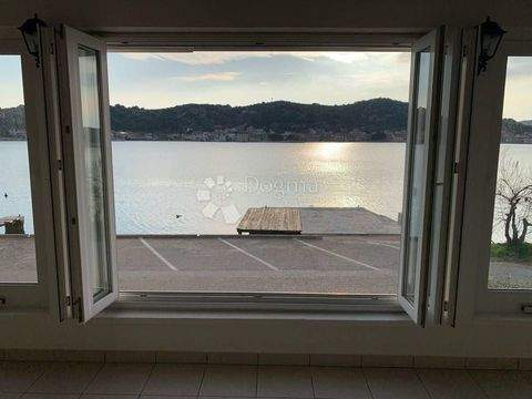 Tisno Halle, Tisno Hallenfläche