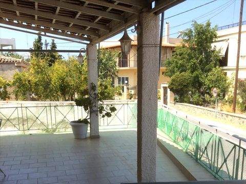 Attika Bauernhöfe, Landwirtschaft, Attika Forstwirtschaft