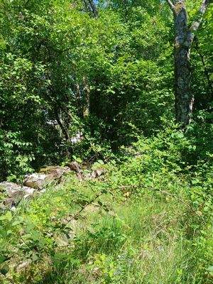 71e294c4-7e96-4a07-98ce-f3f1c0fd231e