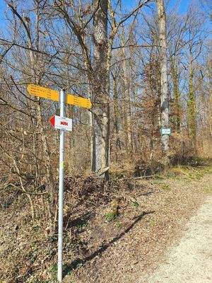 46 Wanderschild in 250 m.jpg