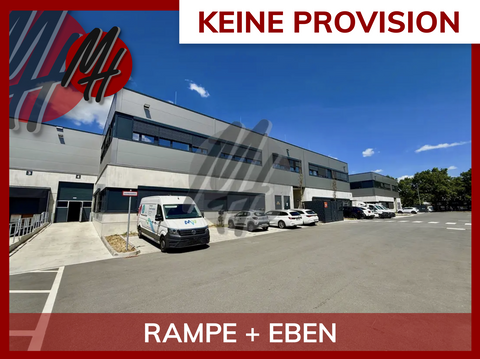 Mörfelden-Walldorf Halle, Mörfelden-Walldorf Hallenfläche