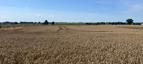 Großenhain Bauernhöfe, Landwirtschaft, Großenhain Forstwirtschaft