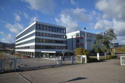 Gengenbach Büros, Büroräume, Büroflächen 