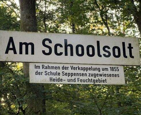 Am Schoolsolt.jpg