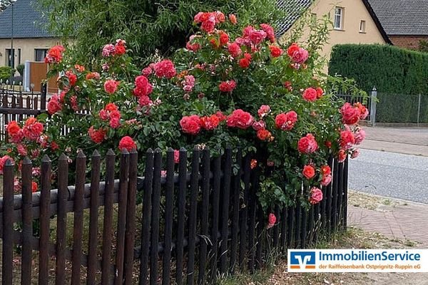 Sommerimpression