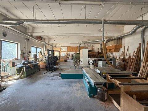 Weiden Halle, Weiden Hallenfläche