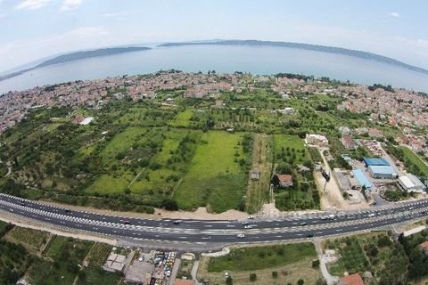 Kastela Bauernhöfe, Landwirtschaft, Kastela Forstwirtschaft