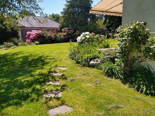 Eingewachsener Garten