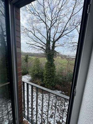 PHOTO-2026-02-14-06-46-10 3