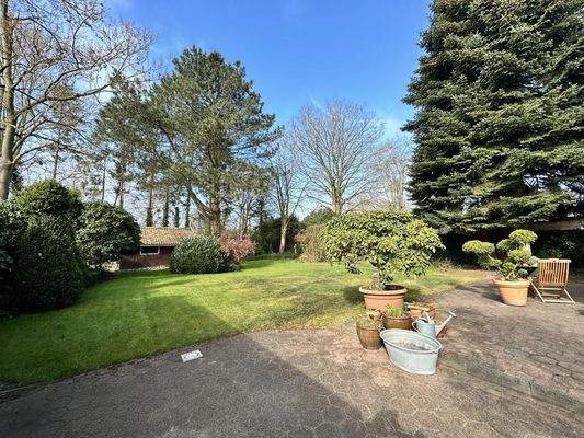 Baumbestand spendet Schatten