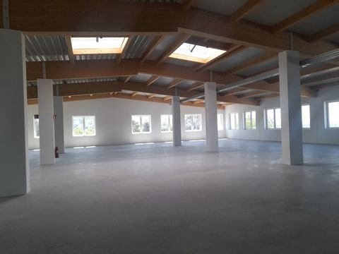 Weilheim Halle, Weilheim Hallenfläche