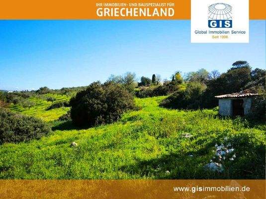 in leichter Hanglage