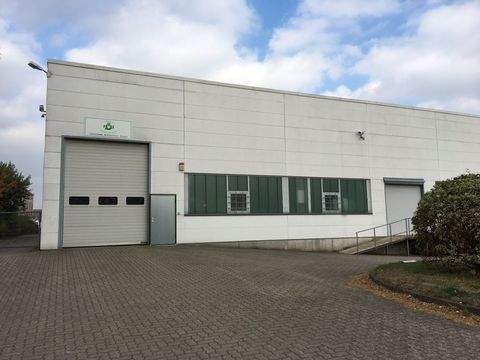 Barsbüttel Halle, Barsbüttel Hallenfläche