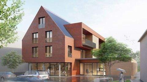 Bad Schussenried Wohnungen, Bad Schussenried Wohnung mieten