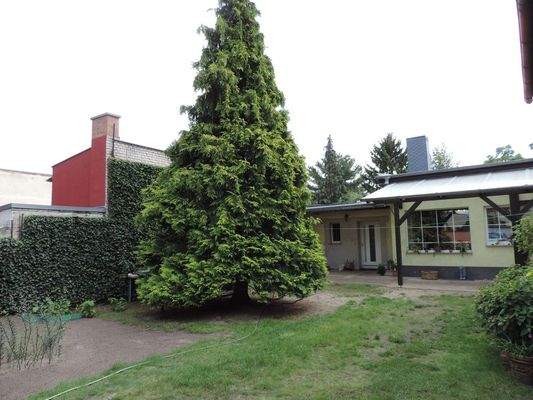 Charmanter Bungalow mit Potenzial in Cottbus zu verkaufen !! | Bungalow ...