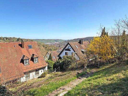 Garten hinter dem Haus.jpg