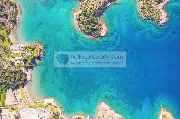 01d4759220604076a58e6ffbdc08d6b5-original