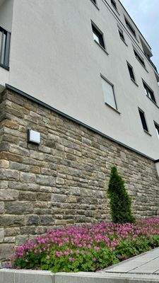 20250603 BUL EF (2).jpg