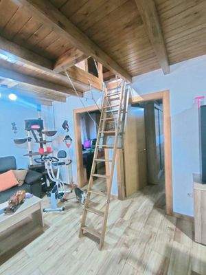 photo1696515623 (4).jpeg